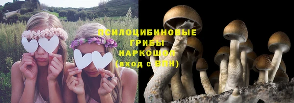 спиды Заводоуковск