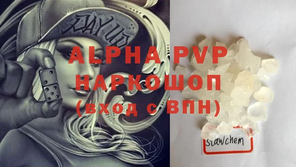 спиды Заводоуковск