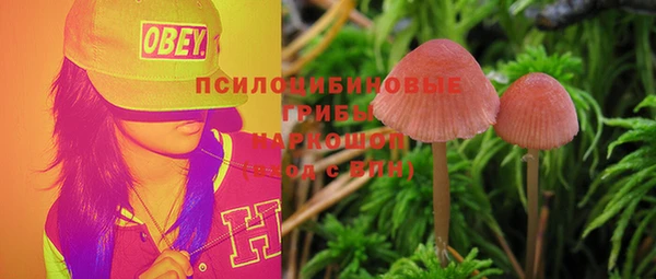 стаф Заволжск